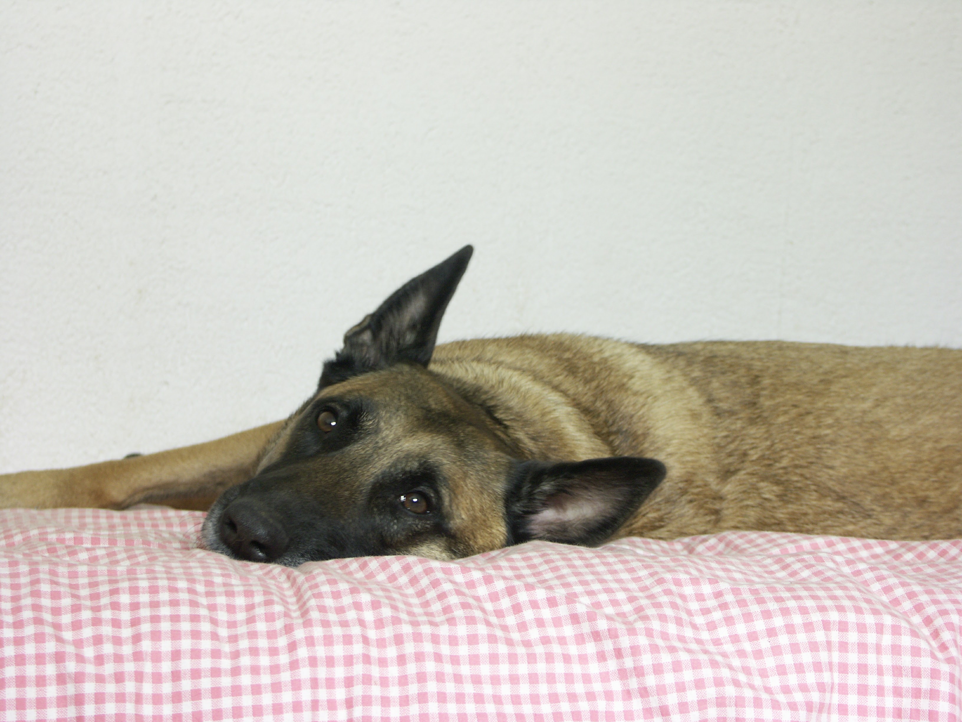 7757f7c350e4c60206cf605f2086ffa1