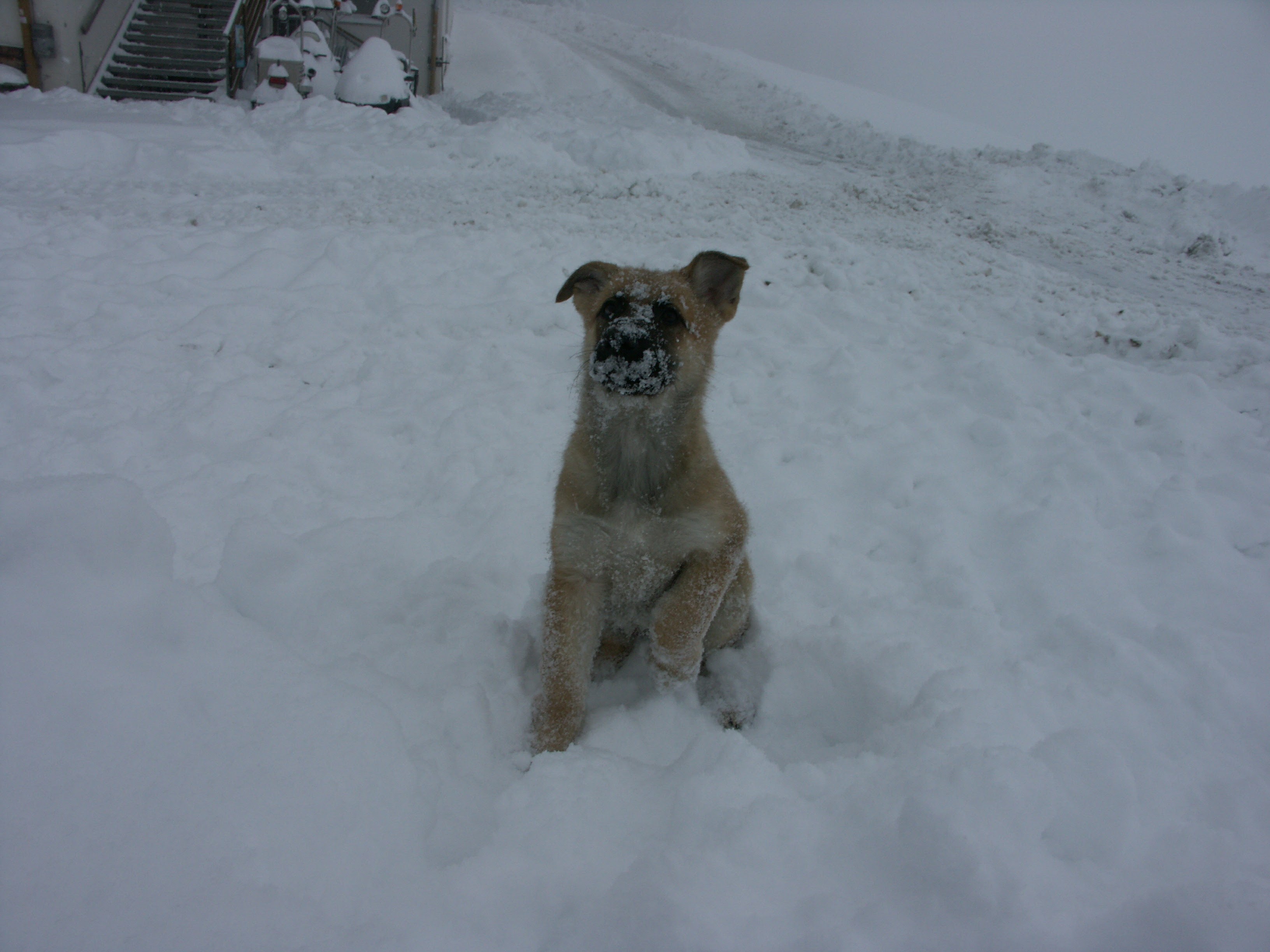 81197b2f59ce9654015ca02781e2ad80