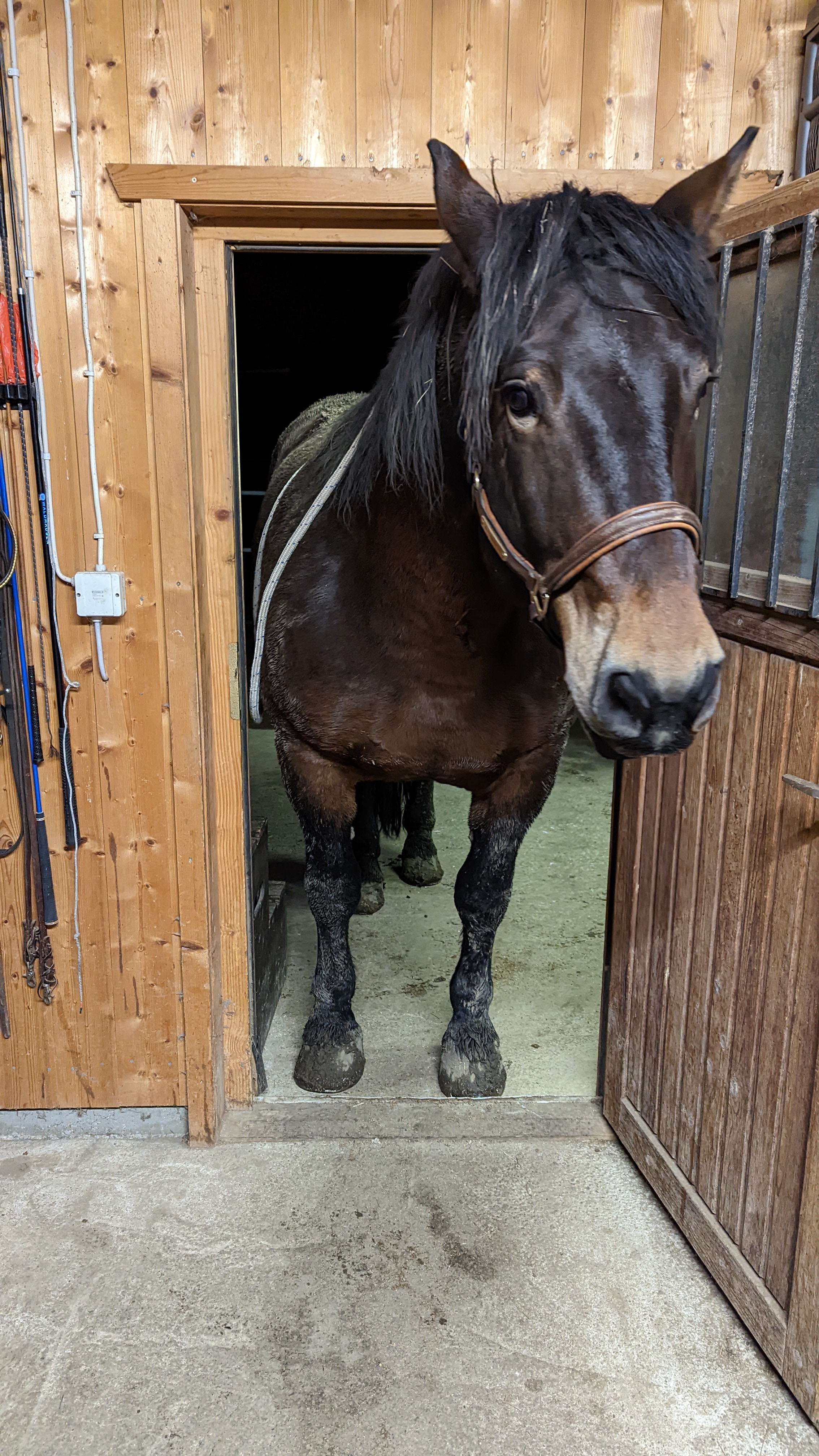 PXL_20221129_195118066.MP