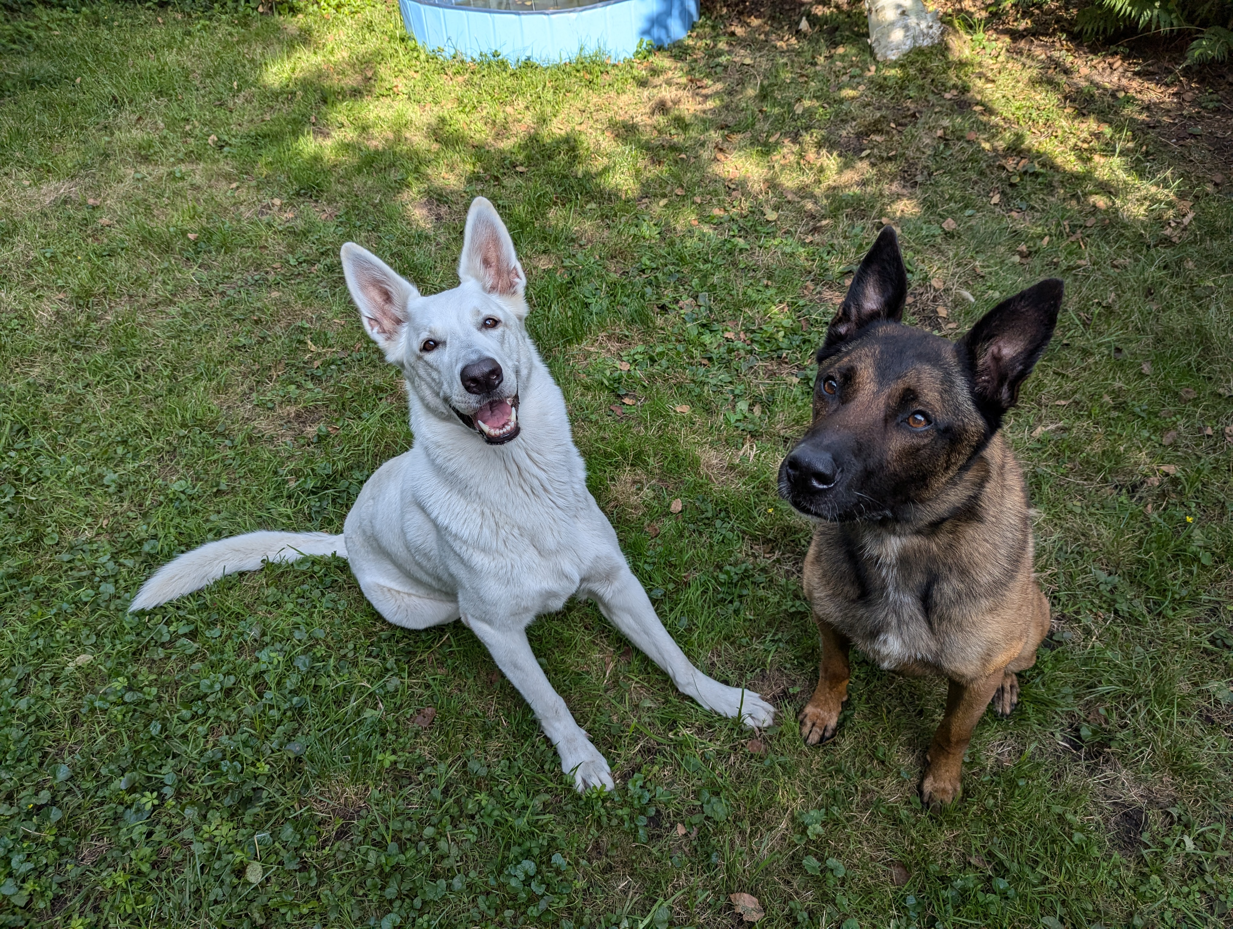 PXL_20240830_143335212.MP