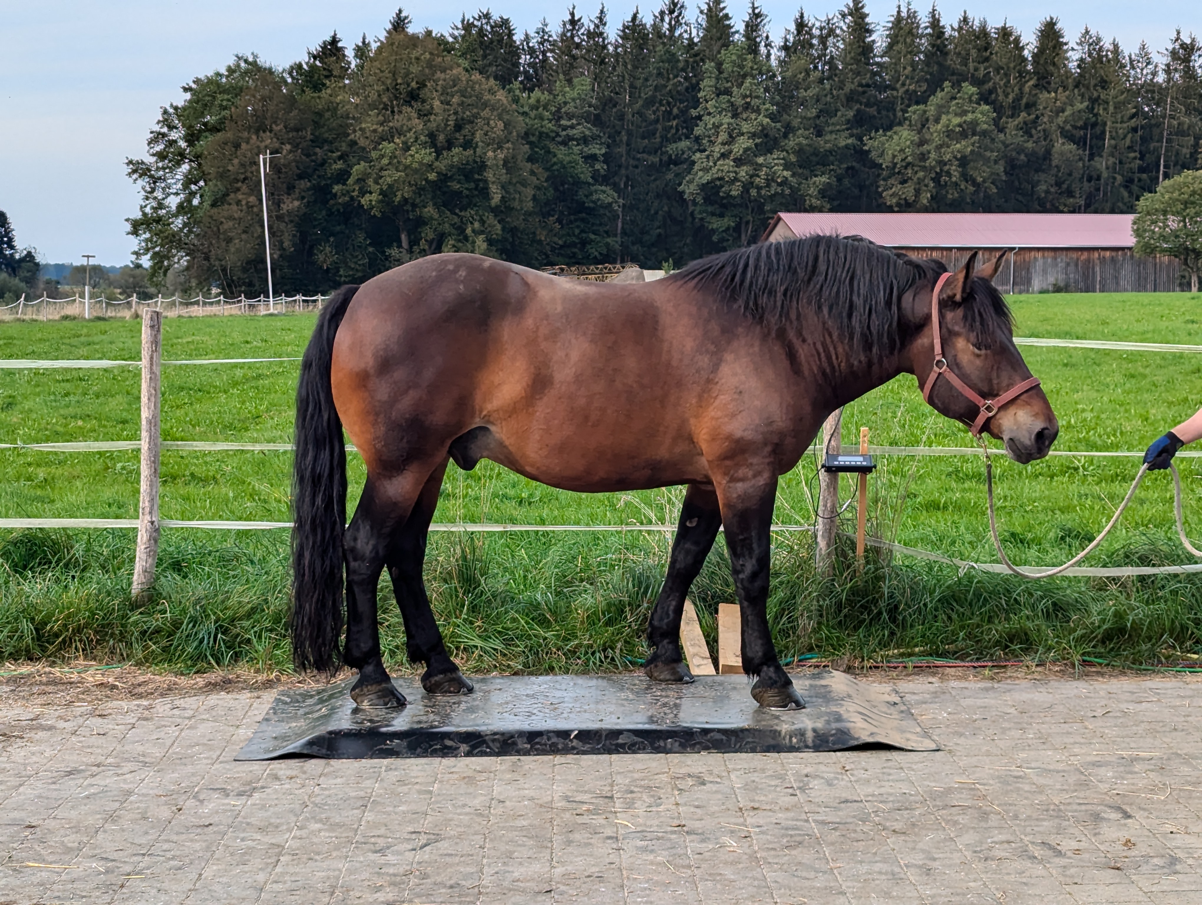 PXL_20240922_144904545