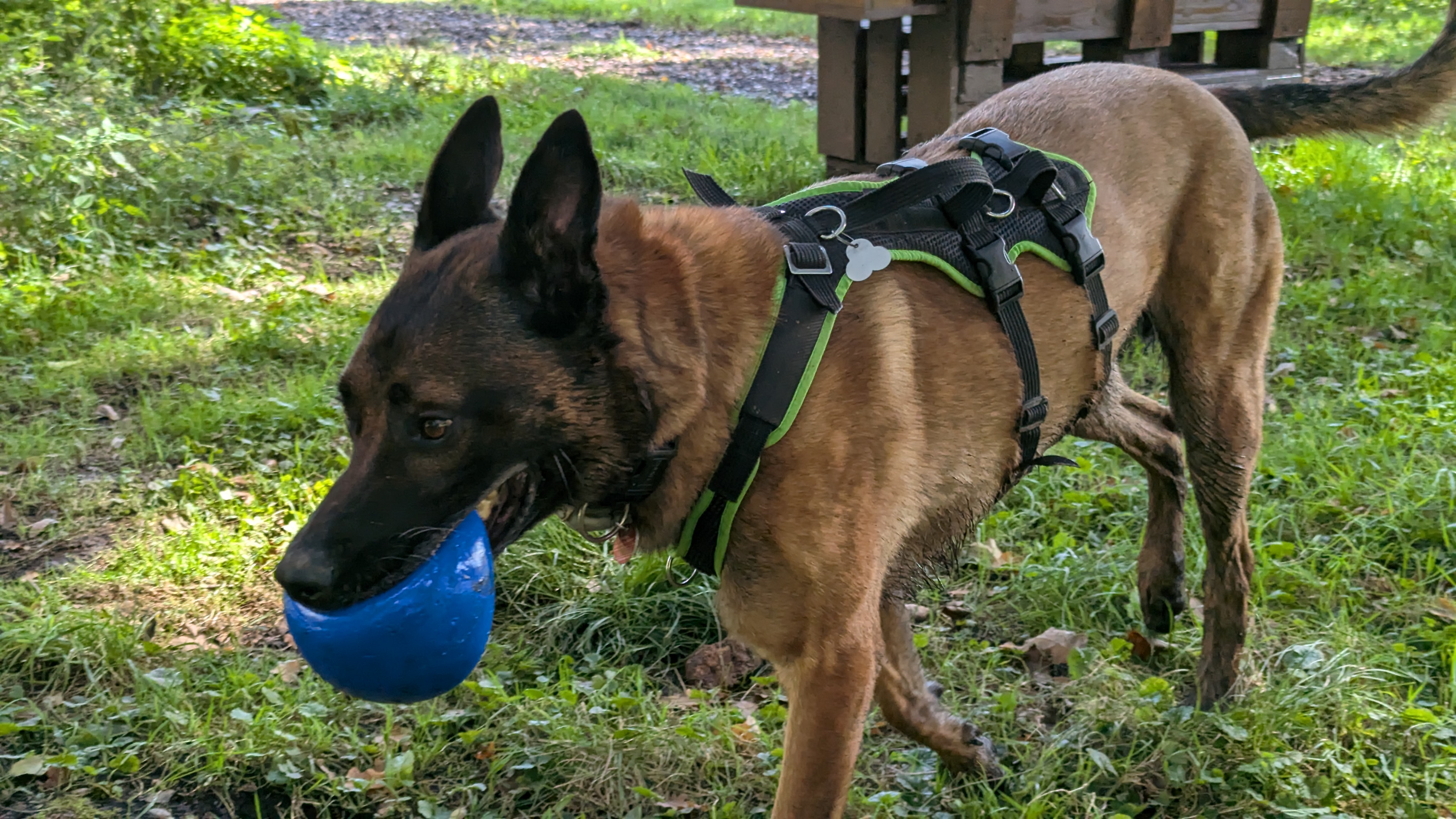 PXL_20240929_112838262