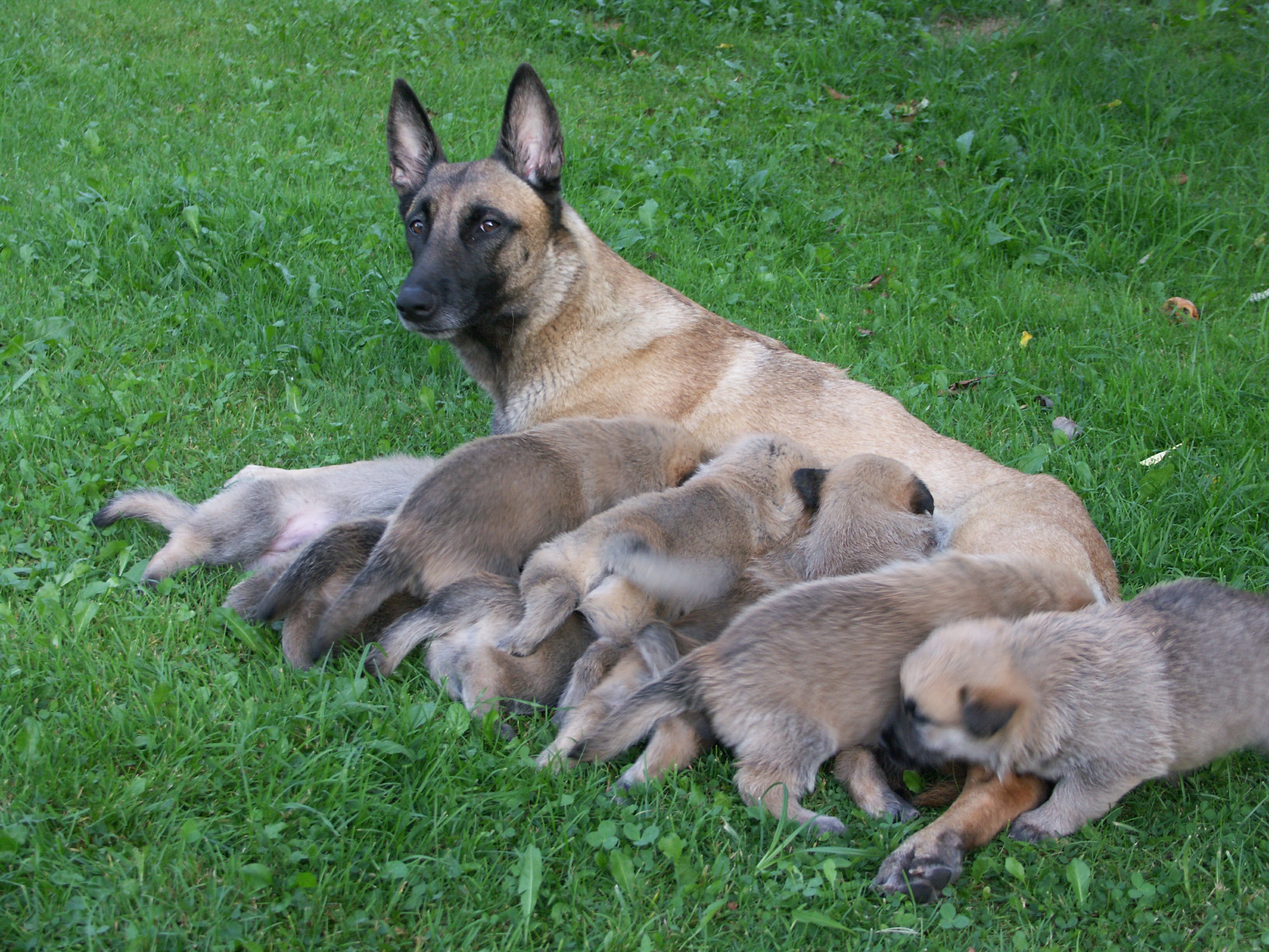 aab9377df36b818db6cf79758bd6ef7d