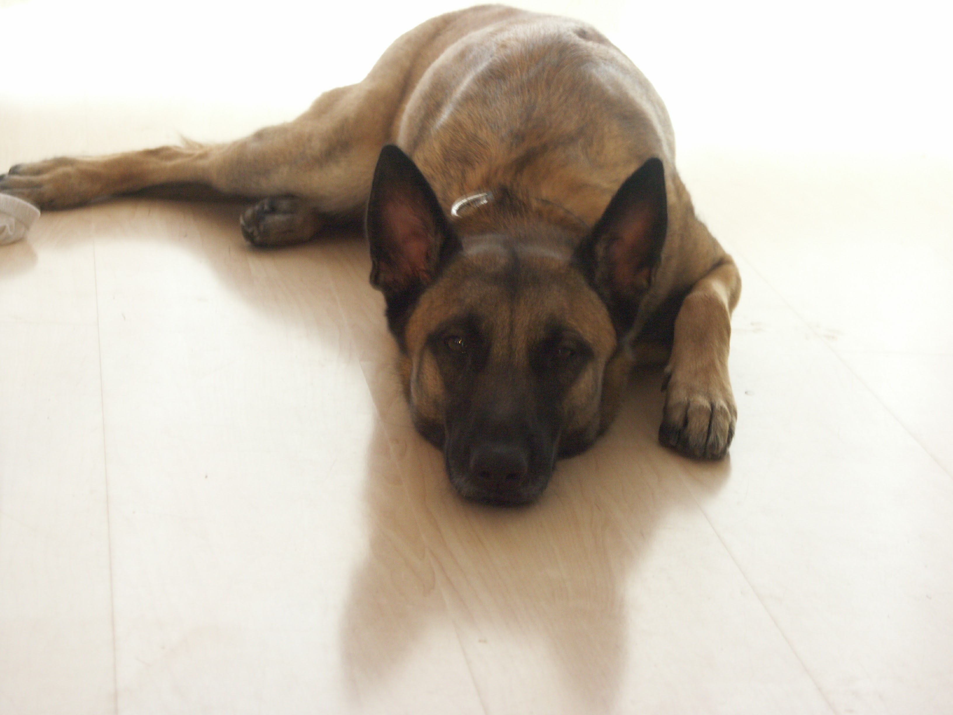 aac682ac0e53f4b005577a2d716d0a0f